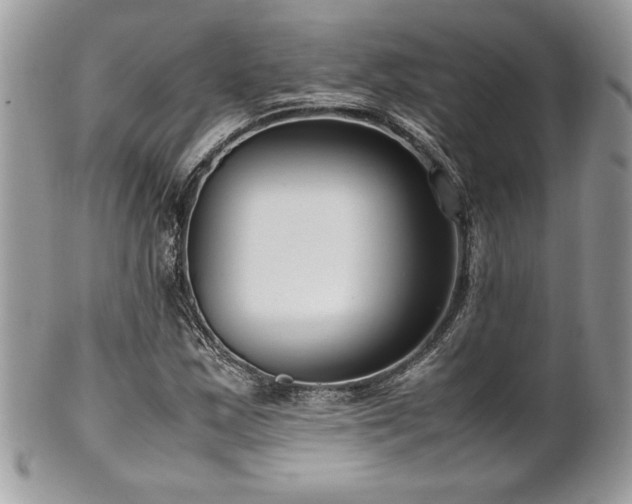 X0000102251163200807251315