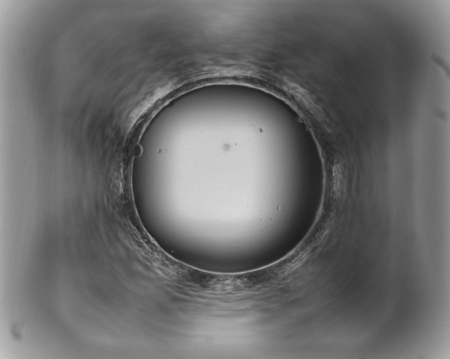 X0000102251165200807251315