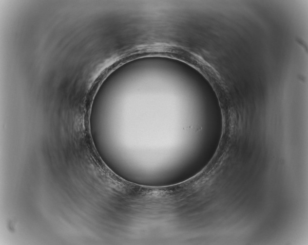 X0000102251166200807251315