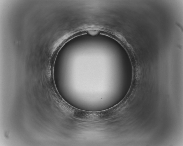 X0000102251167200807251315
