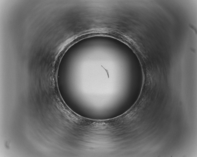 X0000102251168200807251315