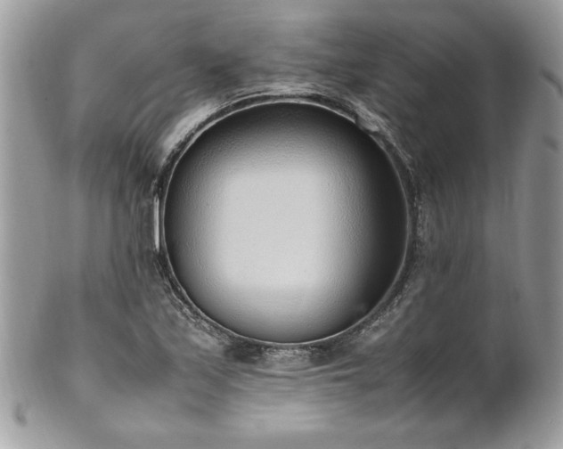X0000102251171200807251315