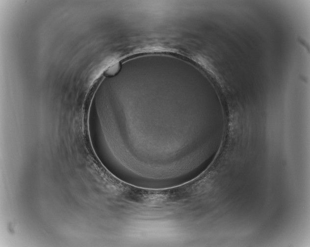 X0000102251173200807251315