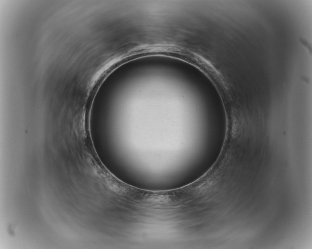 X0000102251174200807251315