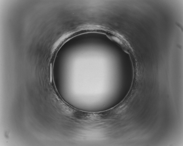 X0000102251175200807251315
