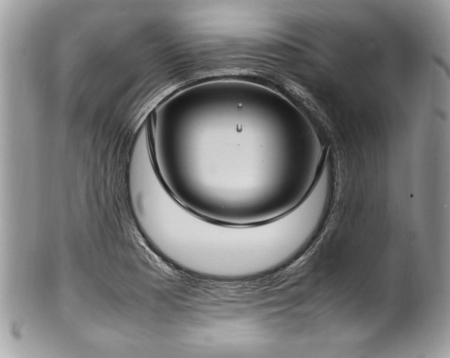 X0000102251177200807251315