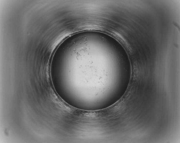 X0000102251182200807251315