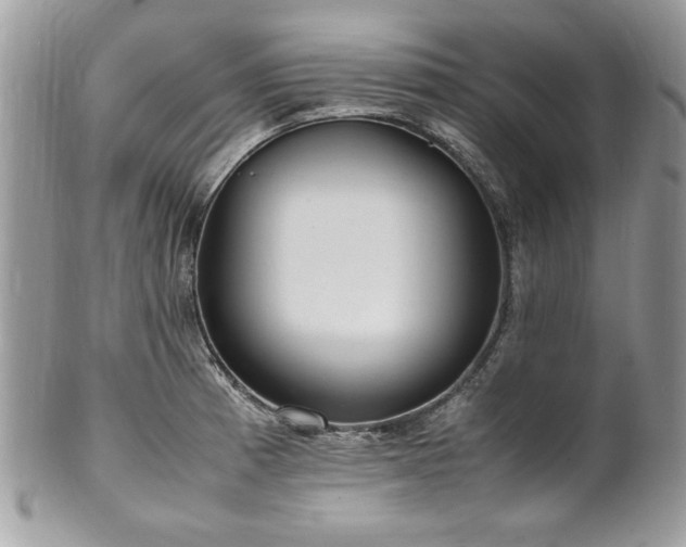 X0000102251185200807251315