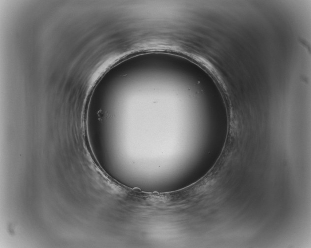 X0000102251191200807251315