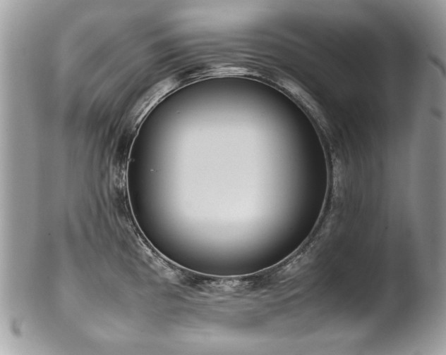 X0000102251193200807251315