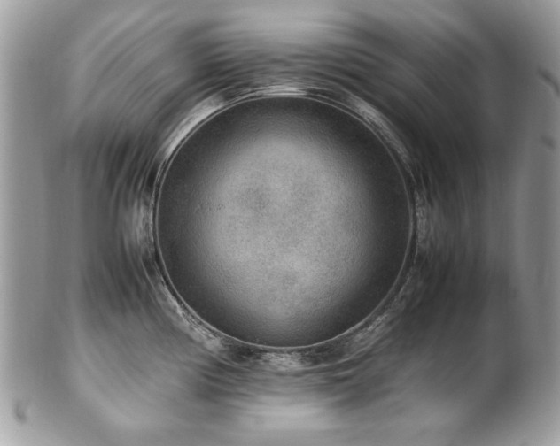 X0000102251194200807251315