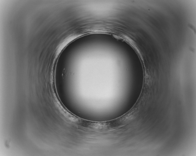 X0000102251195200807251315