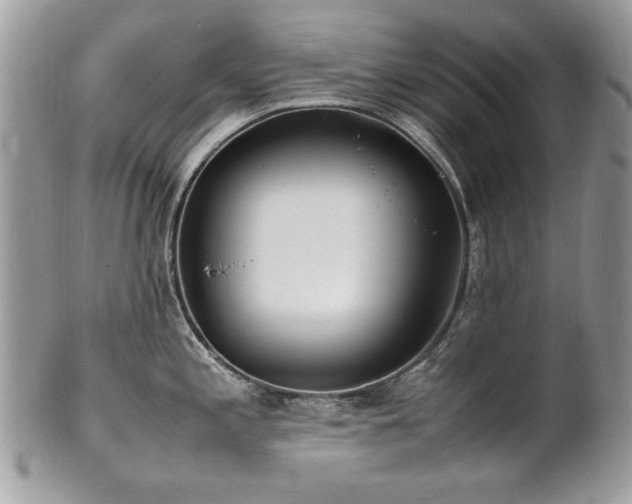 X0000102251197200807251315