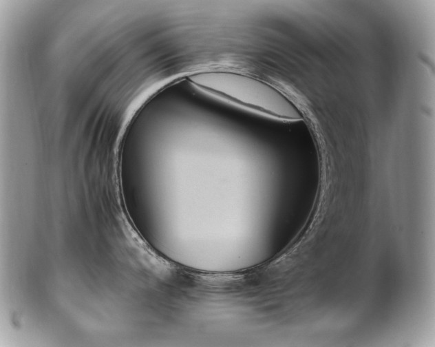 X0000102251200200807251315