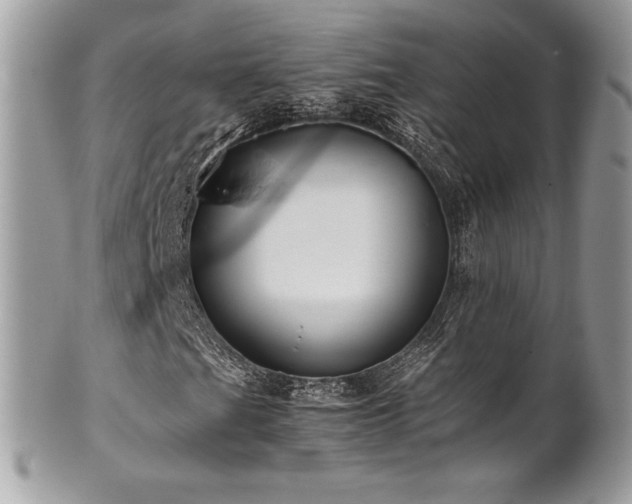 X0000102251201200807251314