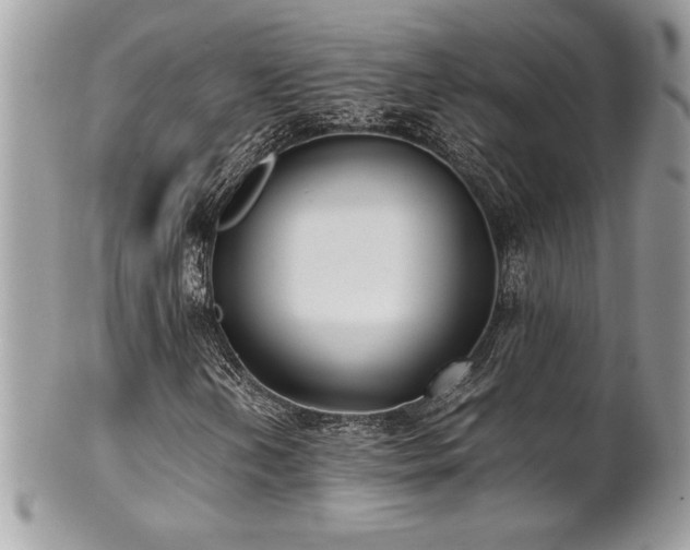 X0000102251202200807251314