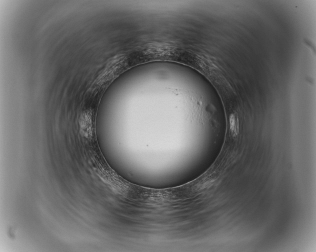 X0000102251203200807251314