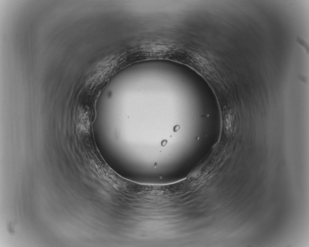 X0000102251204200807251314
