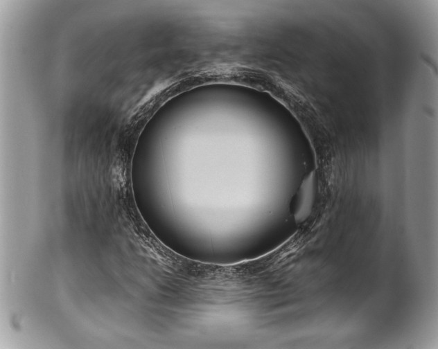 X0000102251206200807251314