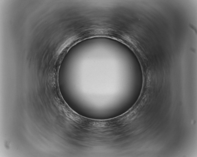 X0000102251211200807251314