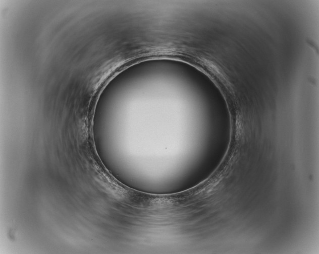 X0000102251212200807251314