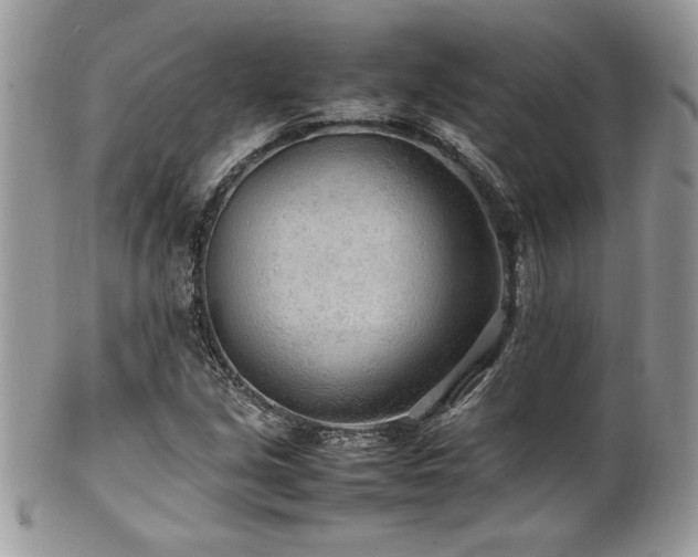 X0000102251213200807251314