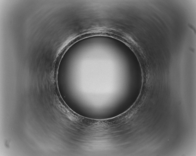 X0000102251216200807251314