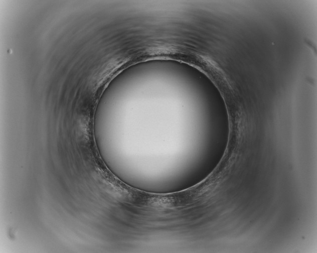 X0000102251217200807251314