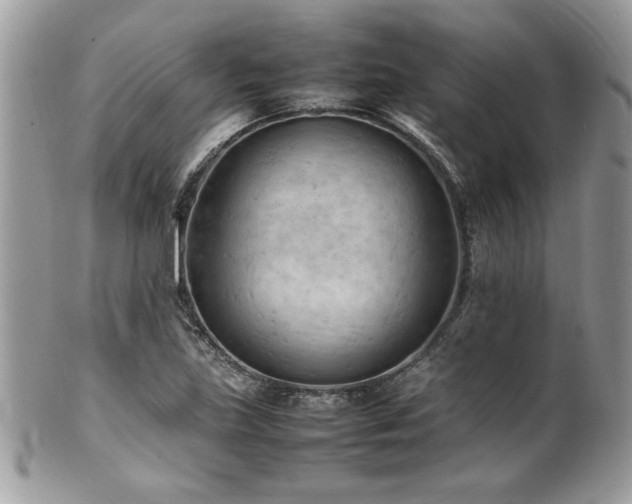 X0000102251219200807251314