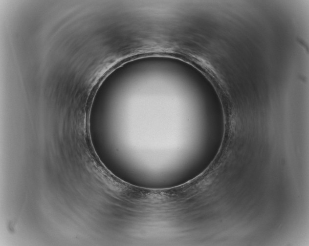 X0000102251220200807251314
