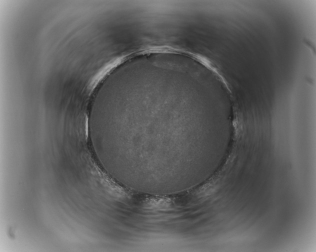 X0000102251221200807251314