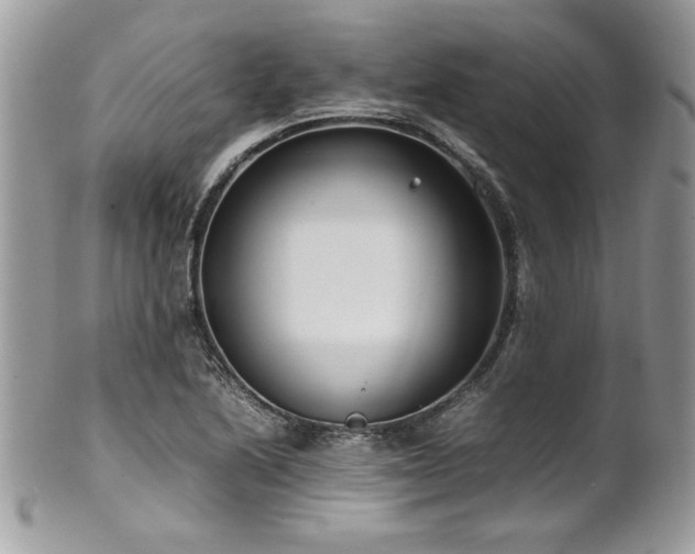 X0000102251222200807251314