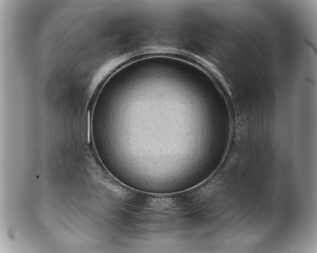 X0000102251223200807251314