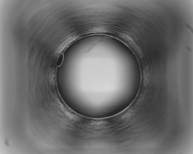 X0000102251225200807251314