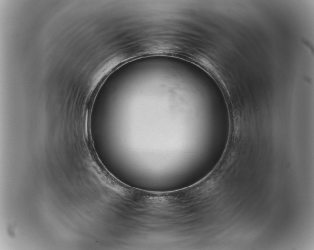 X0000102251227200807251314