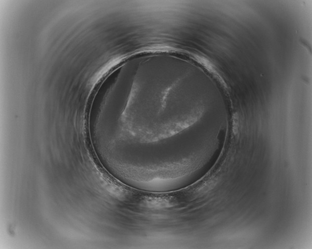 X0000102251229200807251315