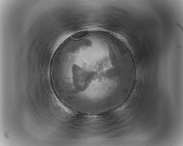 X0000102251231200807251315