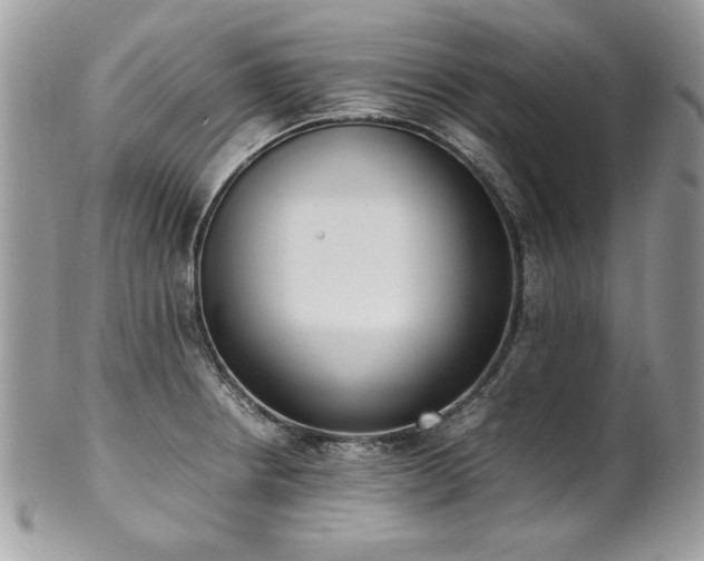 X0000102251234200807251315