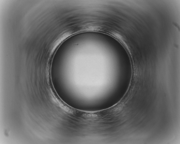 X0000102251235200807251315