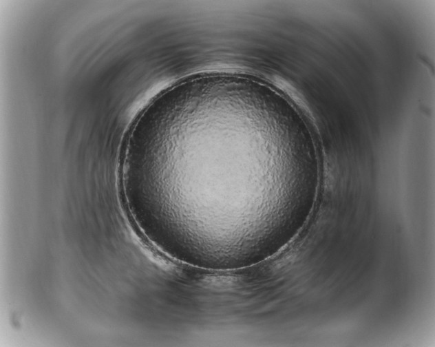X0000102251237200807251315