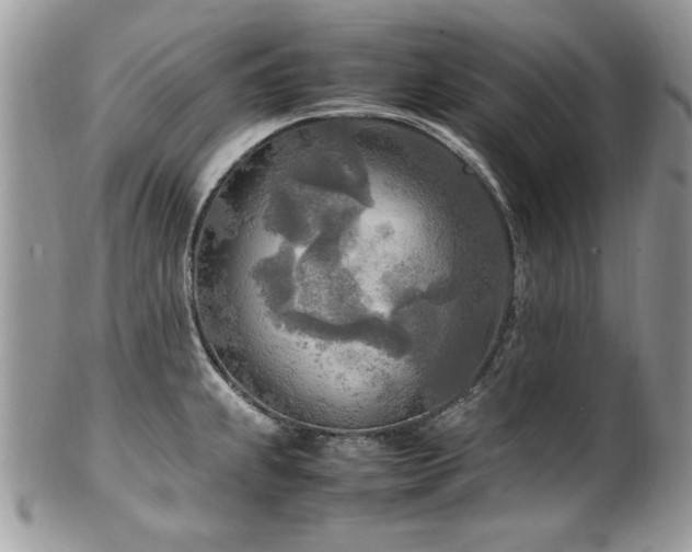 X0000102251239200807251315