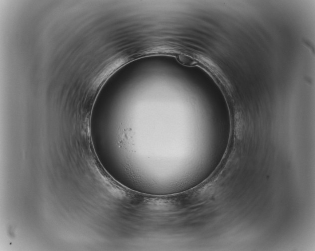 X0000102251241200807251315