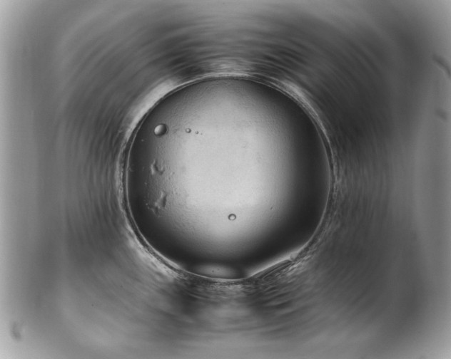 X0000102251243200807251315