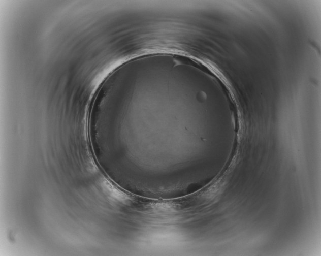 X0000102251246200807251315