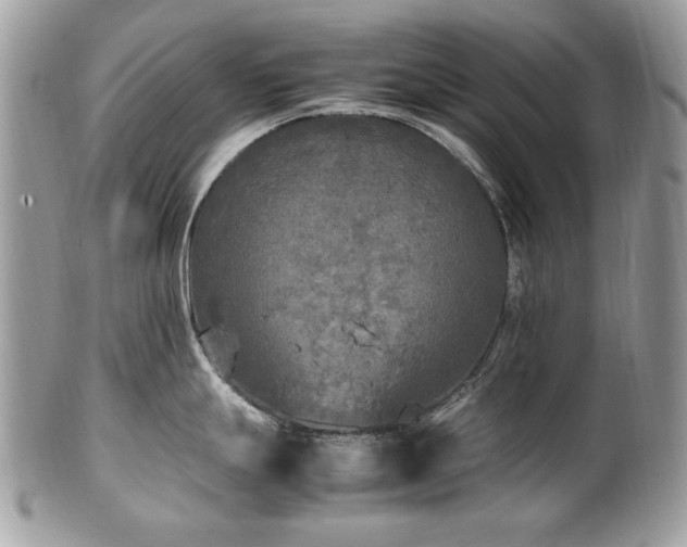 X0000102251247200807251315