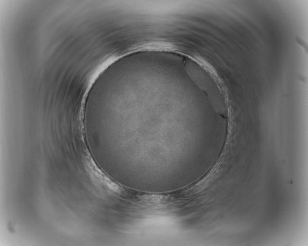 X0000102251248200807251315