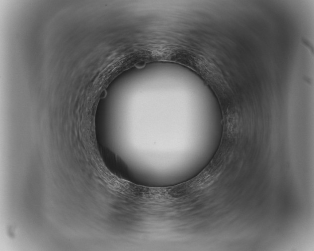 X0000102251249200807251314