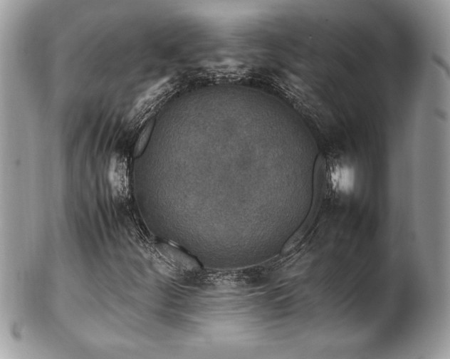 X0000102251252200807251314