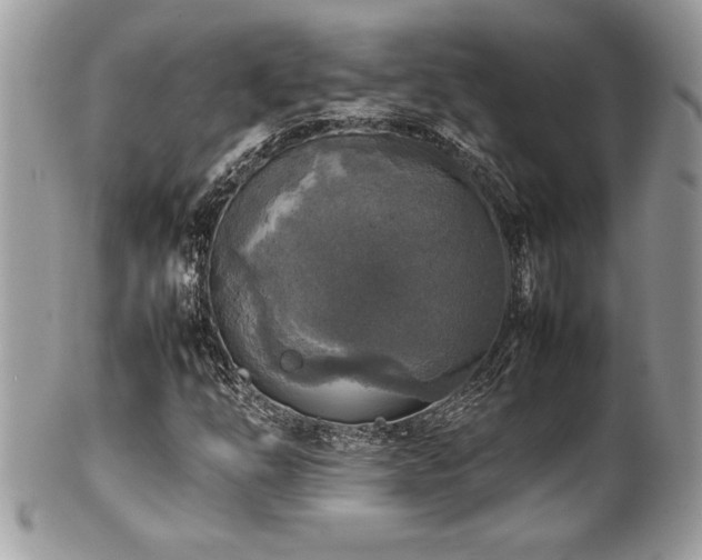 X0000102251254200807251314