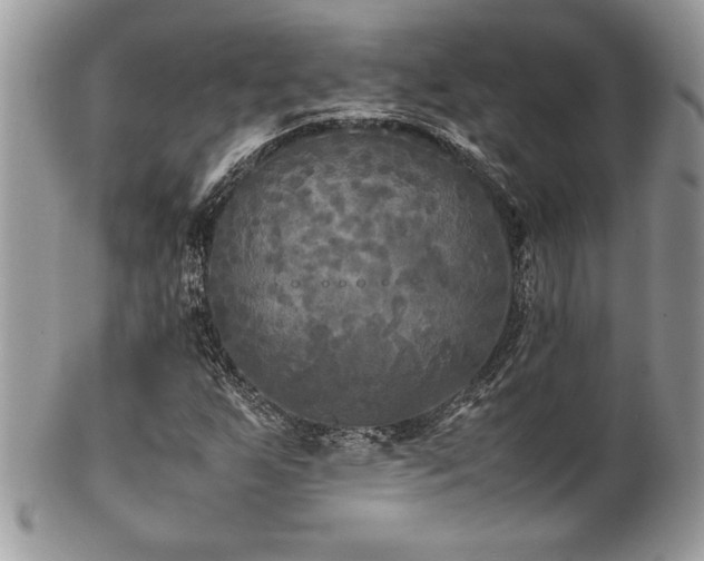 X0000102251255200807251314